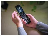 Mobiele Telefoon Denver Electronics BAS-24600L 2,4" - thumbnail