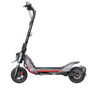Segway-Ninebot ZT3 Pro E