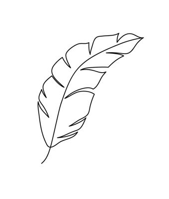 Poster - Line Art, Veer in lijnen, Premium Print