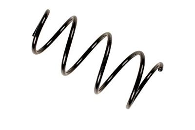 Jacob Hooy Hooyfree Korrels