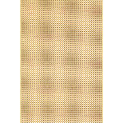 Rademacher WR-Typ 815-5 Printplaat Hardpapier (l x b) 160 mm x 100 mm 35 µm Rastermaat 2.50 mm Inhoud 1 stuk(s)