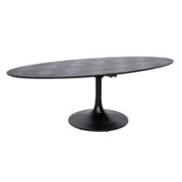 Richmond Ovale Eettafel 'Blax' 250 x 120cm, Eikenhout en staal, kleur zwart - thumbnail