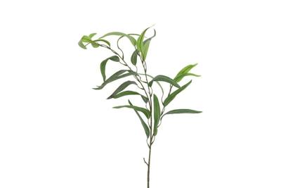 Decostar kunsttak Eucalyptus 90 cm groen