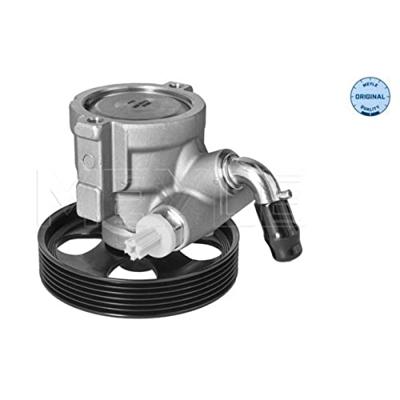 Servo pomp 11146310016