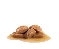 Royal Canin Maxi Adult natvoer hond (in saus) 1 doos (10 x 140 g) - thumbnail
