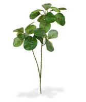 Jackfruit kunsttak 50 cm groen - thumbnail