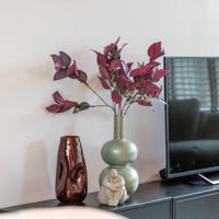 Eucalyptus - thumbnail