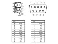 DeLOCK Cable RS-232 Serial pin header female naar DB9 male kabel - thumbnail
