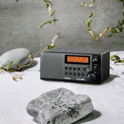 Sangean DDR-31+ Radio DAB+, VHF (FM) AUX Zwart