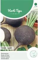 Zaden Rammenas Ronde Zwarte (Winter) Hortitops - Hortitops - thumbnail