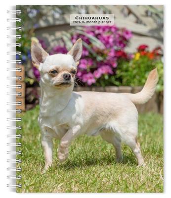 Chihuahua Agenda 2026