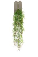 Zijdeplant Hangplant op steker Rhipsalis kunstplant Driesprong Collection - Driesprong collection - thumbnail