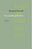 Licht dat naar ons tast - Bernard Dewulf - ebook - thumbnail
