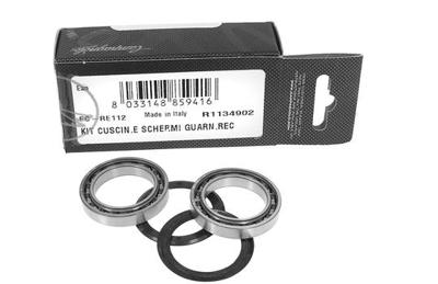 Campagnolo bearings and sealing