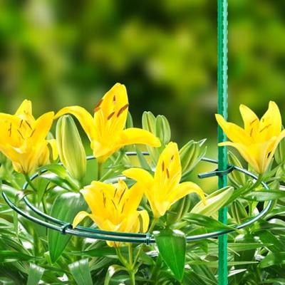 Connex Struiksteun (Dia25-40Cm) (3St) - FLOR78440