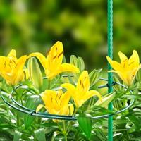 Connex Struiksteun (Dia25-40Cm) (3St) - FLOR78440 - thumbnail