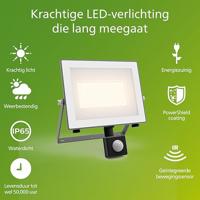 Philips LED Lois 929004643401 LED-buitenschijnwerper met bewegingsmelder 24 W Lichtkleur (naam): Warmwit - thumbnail