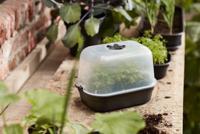 Elho green basics kweektray small living black - thumbnail