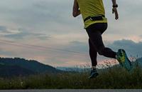 Hardloopriem - SCHILDKRÖT - Wheel Bee Running Heuptas Night Runner LED-licht - thumbnail