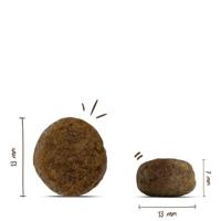 Bosch Light hondenvoer 12,5 kg - thumbnail