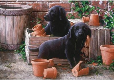 Bill and Ben Puzzel 500 Stukjes