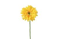 Decostar zijdebloem Gerbera Leanne 60 cm geel - thumbnail