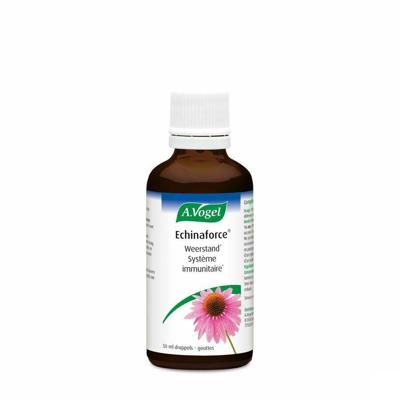 A.Vogel Echinaforce 50ml