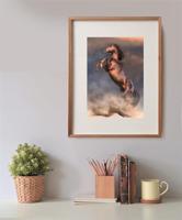 Clementoni legpuzzel wild red stallion, 500st. - thumbnail