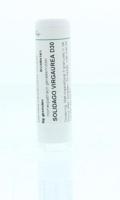 Homeoden Heel Solidago virgaurea D30 6 Gram - thumbnail