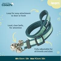 Hondentuigje Coachi - thumbnail