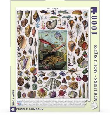 New York Puzzle Company Mollusken - 1000 stukjes