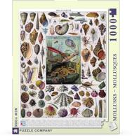 New York Puzzle Company Mollusken - 1000 stukjes - thumbnail