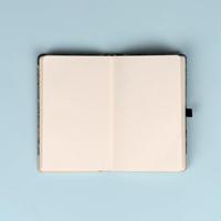 Alphonse Mucha Notitieboek A5 Zodiac - thumbnail