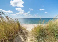 Alexsar Art Tuinschilderij duingras 70x50cm - thumbnail