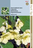 Zaden Tropaeolum Oost-indische kers Milkmaid Hortitops - Hortitops - thumbnail