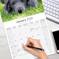 Duitse Dog Kalender 2026 - thumbnail