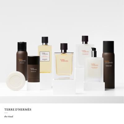 Hermès Terre d'Hermès Eau de Toilette 200ml