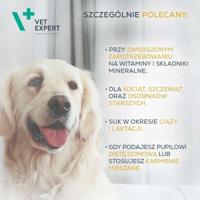 VETEXPERT Multivitamin - vitamine- en mineralenpreparaat voor honden en katten - 30 capsules. - thumbnail