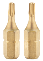 Connex Bits Torx G10 Iso/Tin (2St) - COXT973810 - thumbnail