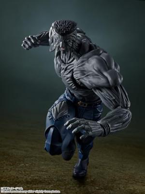 TAMASHII NATIONS - Yu Yu Hakusho - Jongere Toguro 100%, Bandai Spirits S.H.Figuarts Actiefiguur