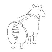 Lijfbieder bandage prolapsbandage voor schapen - thumbnail