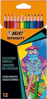 12 Kleurpotloden Bic Intensity