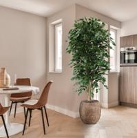 Ficus Exotica deluxe kunstboom 210cm - groen - thumbnail