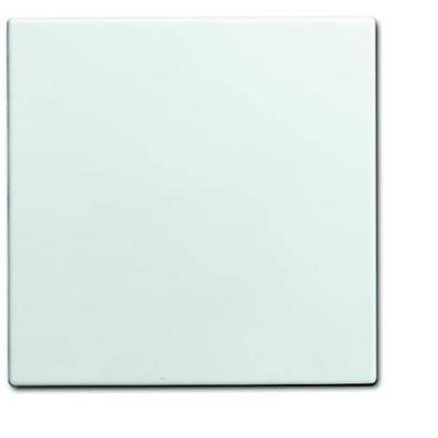 ABB 1576 C-914 Blindafdekking Afdekking Wit, Zuiver wit (RAL 9010) 1 stuk(s)