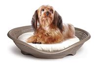 Bama pet pasha mand 48x46x11 cm taupe - thumbnail