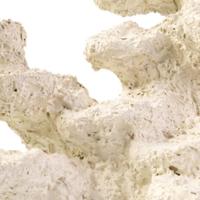 Bm marine rock staand Blue Marine Aquadistri - Aquadistri - thumbnail