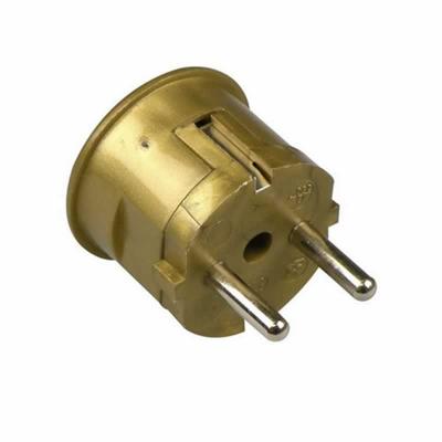 Haakse stekker met randaarde goud Kaiser