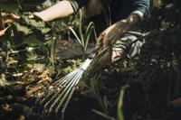 Fiskars Xact Handhark - 1027044 - 1027044 - thumbnail