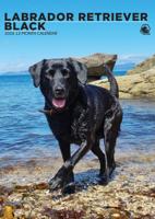 Labrador Retriever Zwart A3 Kalender 2026 - thumbnail