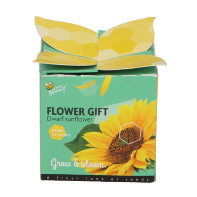 Grow gifts kweekset flower gift zonnebloem Buzzy - Buzzy